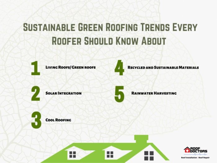 A Closer Look at Sustainable Roofing Practices - Roof Doctors
